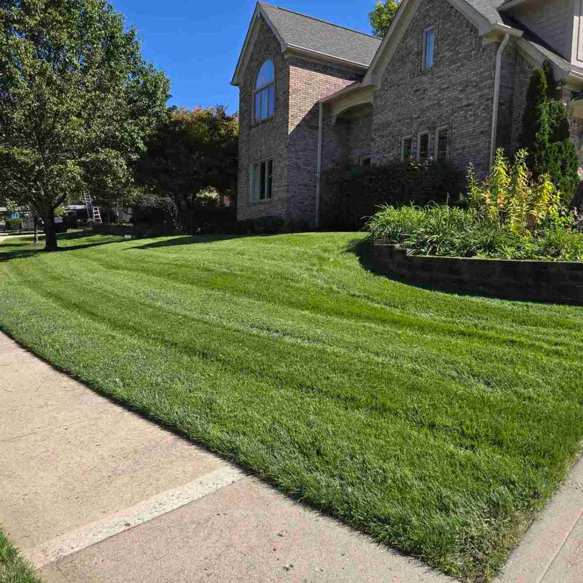 Manicured lawn & bed edging