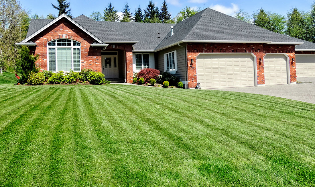 Freshly striped front lawn