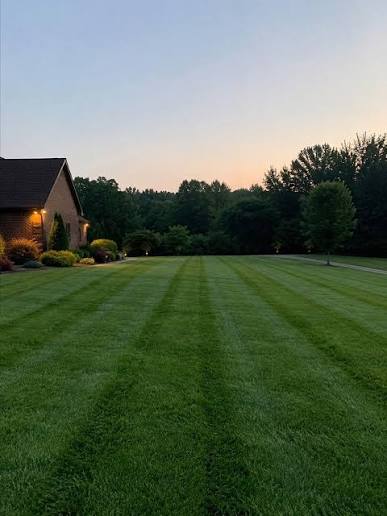 Sunset cut with clean lines